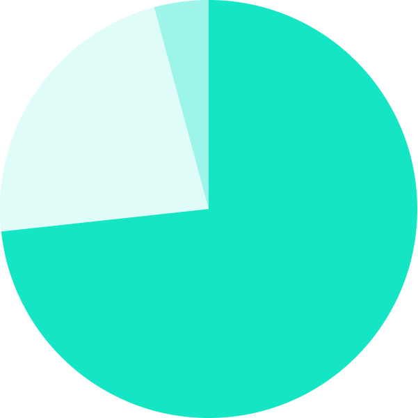 A pie chart with a dominant teal slice, a medium light blue slice, and a small light cyan slice.