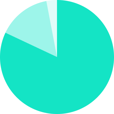 A pie chart with three slices: a large teal slice, a medium light blue slice, and a small very light blue slice.