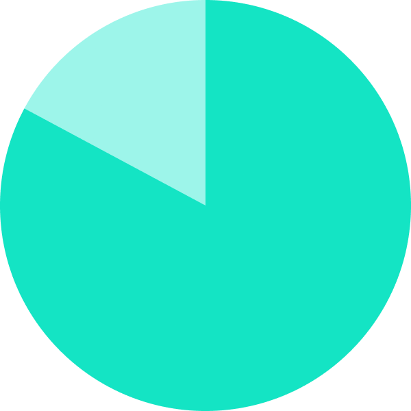 A pie chart with a large turquoise segment and a smaller light turquoise segment.